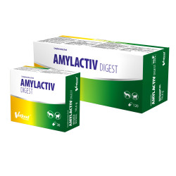 Vetfood Amylactiv Digest - preparat z enzymami trawiennymi dla psów, kotów