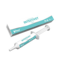 Vetfood Intestivet Gel - 15ml - probiotyk w żelu dla psów, kotów