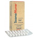 ScanVet Scanomune 20 mg - 30 kaps. - preparat wzmacniający odporność dla psów, kotów