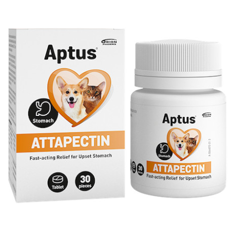 Aptus Attapectin - 30 tabl. - preparat przeciwbiegunkowy