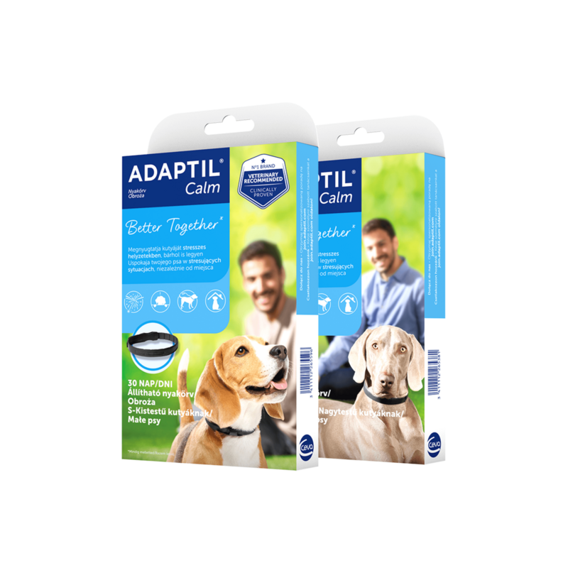 Adaptil - obroża feromonowa D.A.P. dla psów