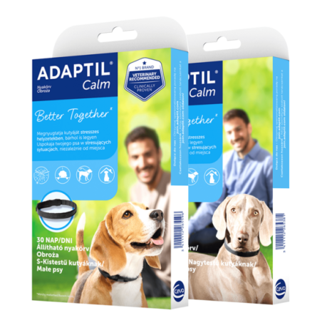 Adaptil - obroża feromonowa D.A.P. dla psów