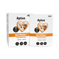 Orion Pharma Aptus Nutrisal - 10x25g - napój izotoniczny w proszku