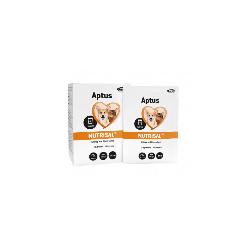 Orion Pharma Aptus Nutrisal - 10x25g - napój izotoniczny w proszku