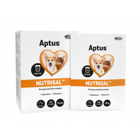 Orion Pharma Aptus Nutrisal - 10x25g - napój izotoniczny w proszku
